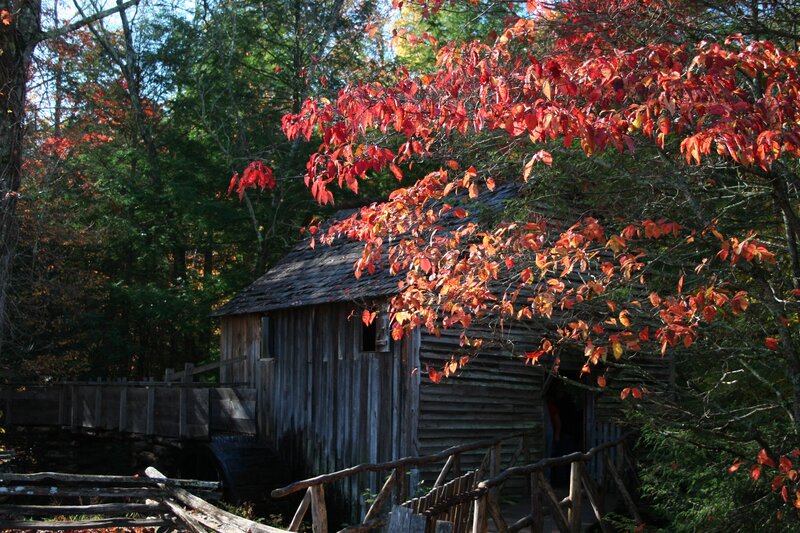 Wooden Mill in Forest — Red