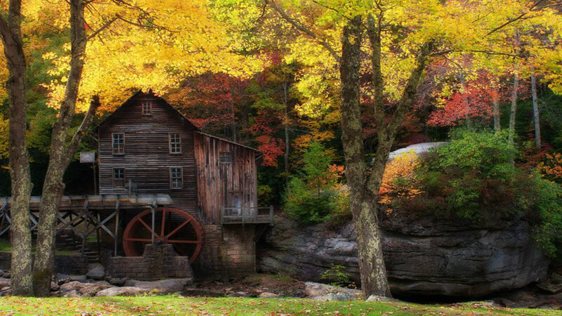 Wooden Mill in Forest — Yellow