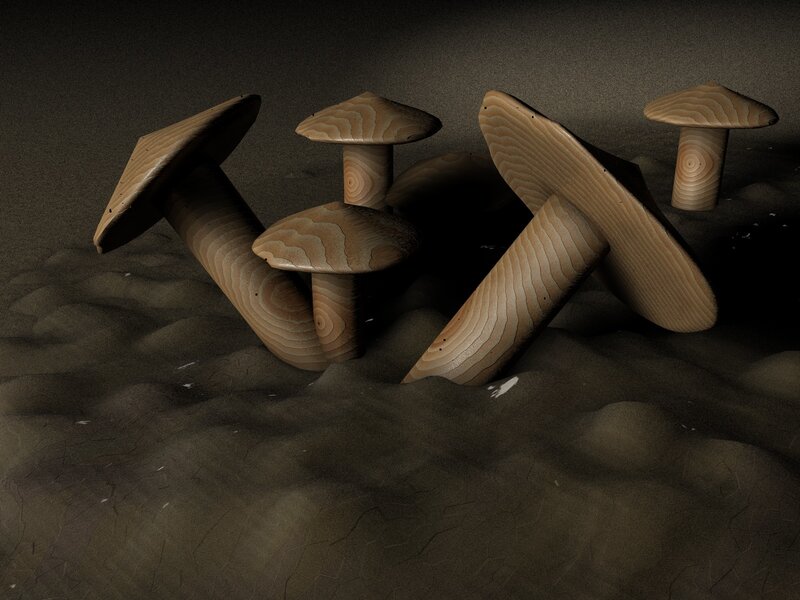 wooden mushrooms in sand