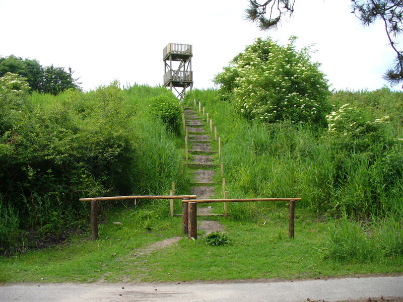 Wooden Observation Tower — Green
