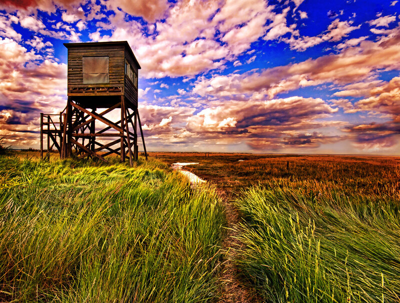 Wooden Observation Tower