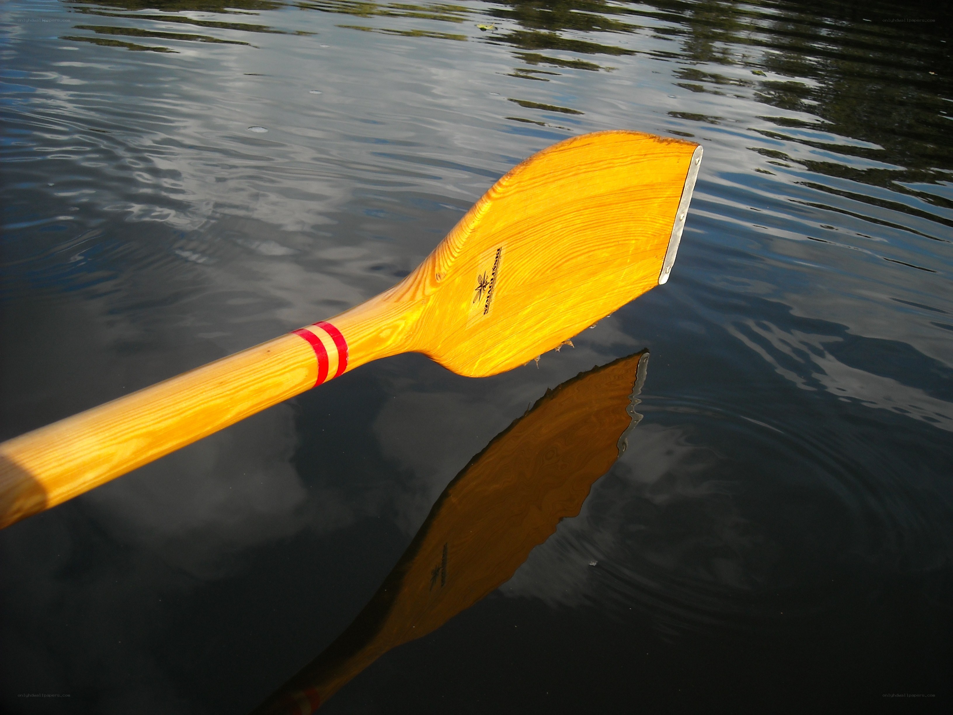 wooden paddle on water
