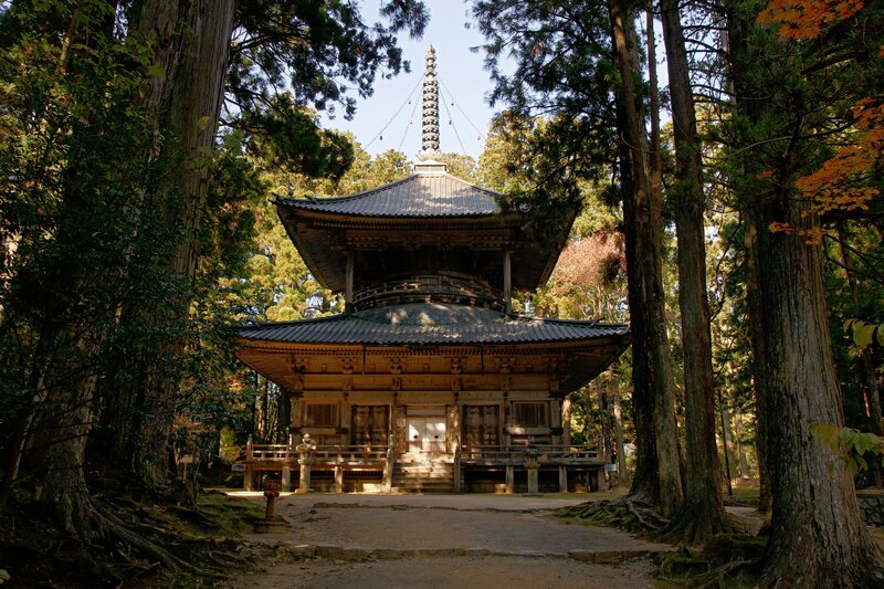 Wooden Pagoda in Forest