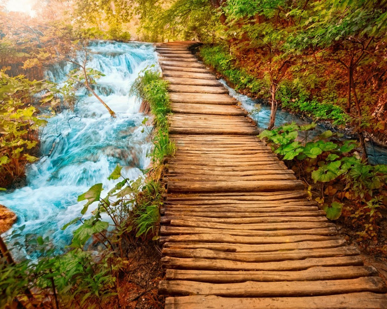 Wooden path by a forest waterfall