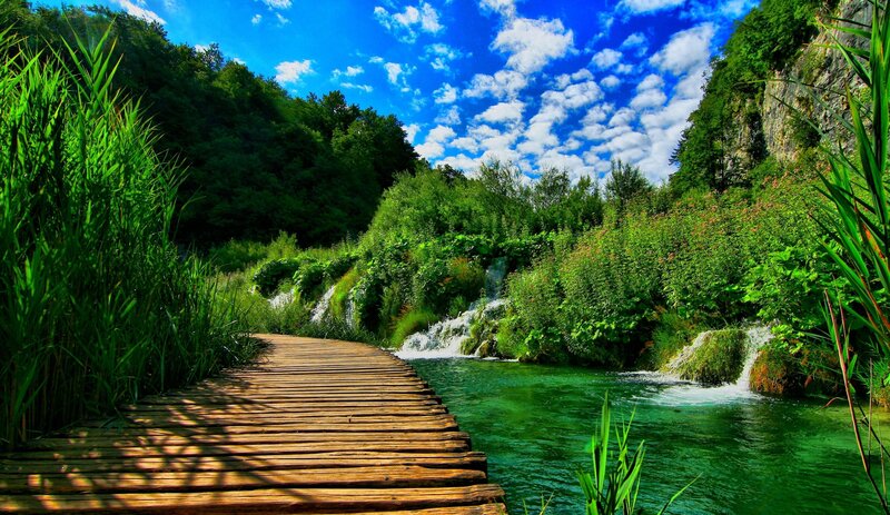 Wooden path by a green river
