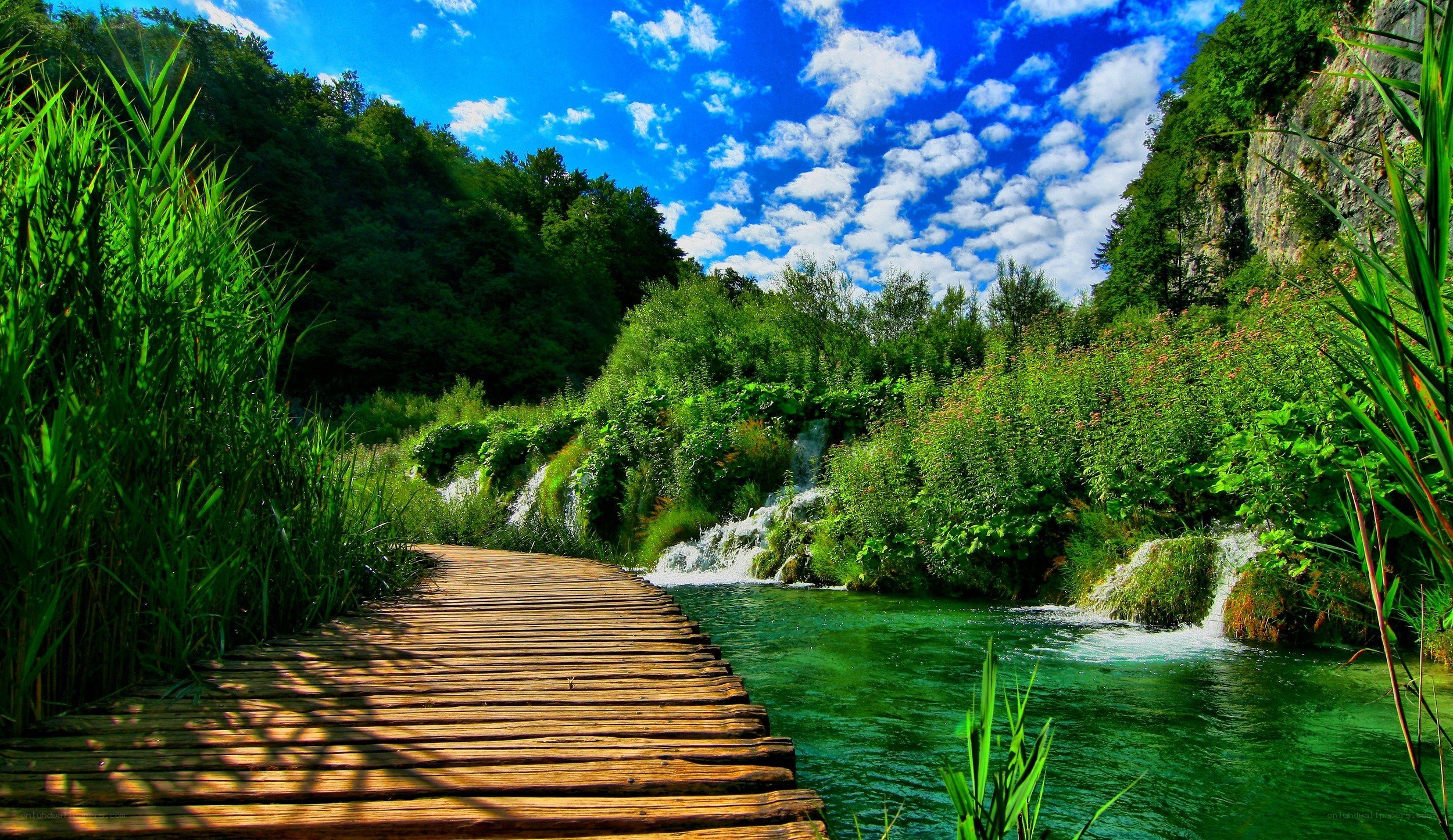 Wooden path by a green river