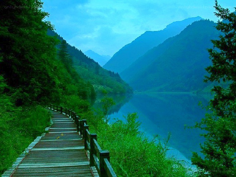 Wooden path by a mountain lake