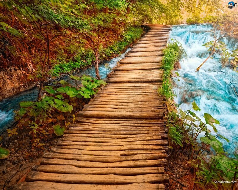 Wooden path by a waterfall