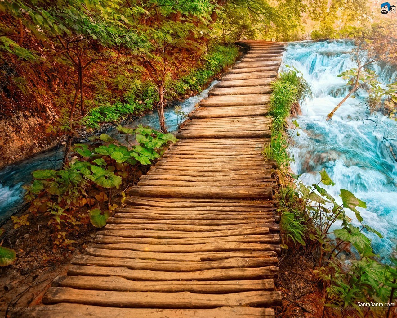 Wooden path by a waterfall