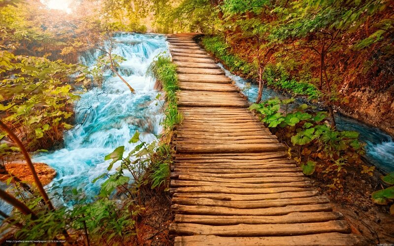 Wooden path by a waterfall