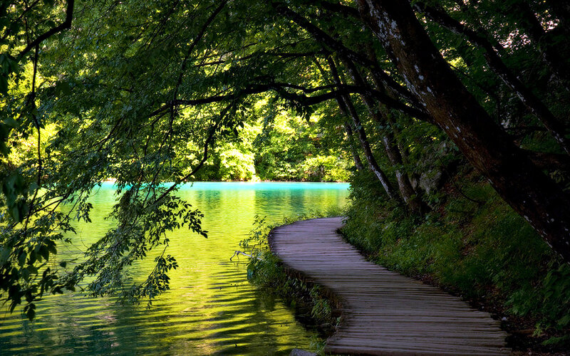 Wooden Path by Lake — Green, Serene