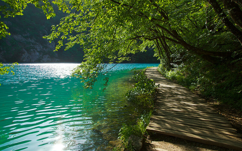 Wooden Path by Lake — Green
