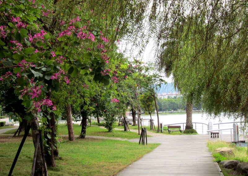 Wooden Path by Lake