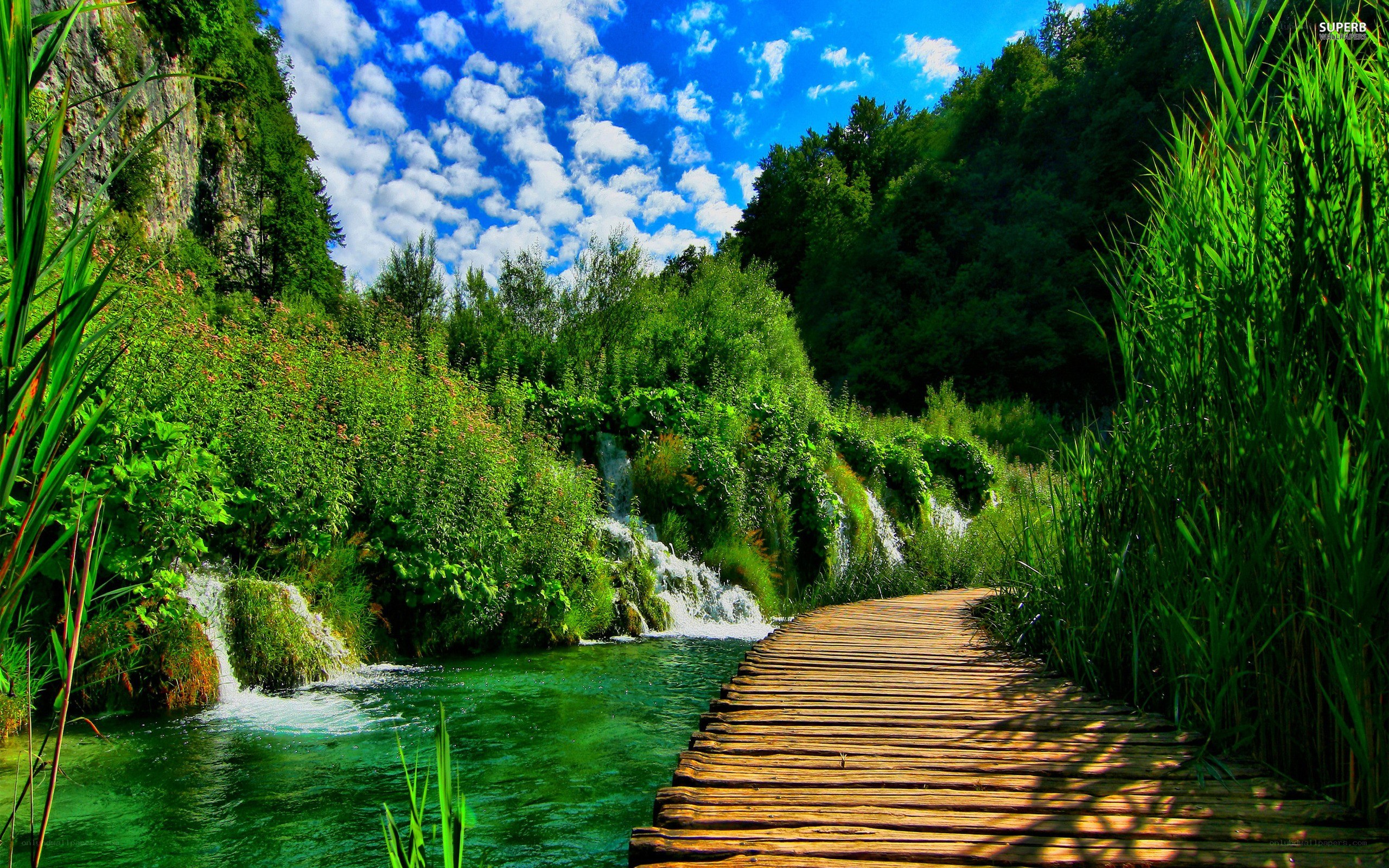 Wooden path by waterfall