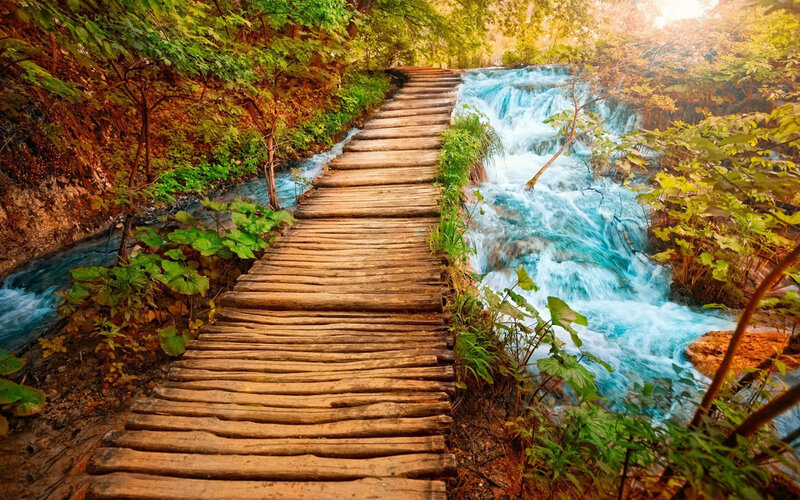 Wooden Path by Waterfall — Brown
