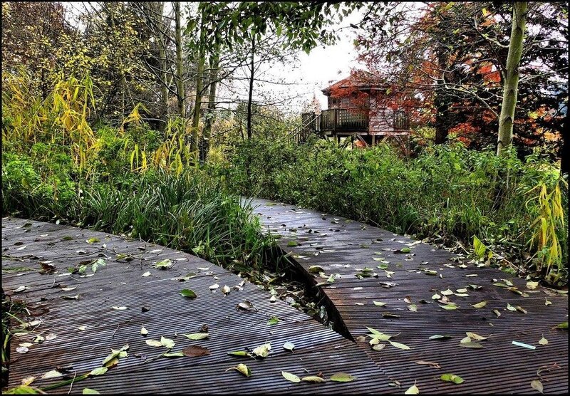 Wooden path in autumn forest
