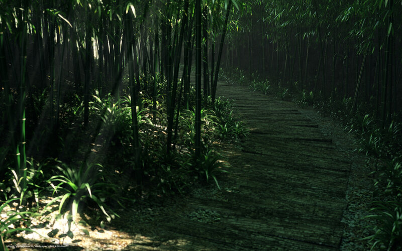 Wooden Path in Bamboo Forest — Green, Serene, Morning, Digital Art