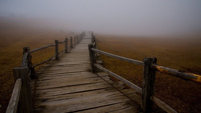Wooden path in foggy field