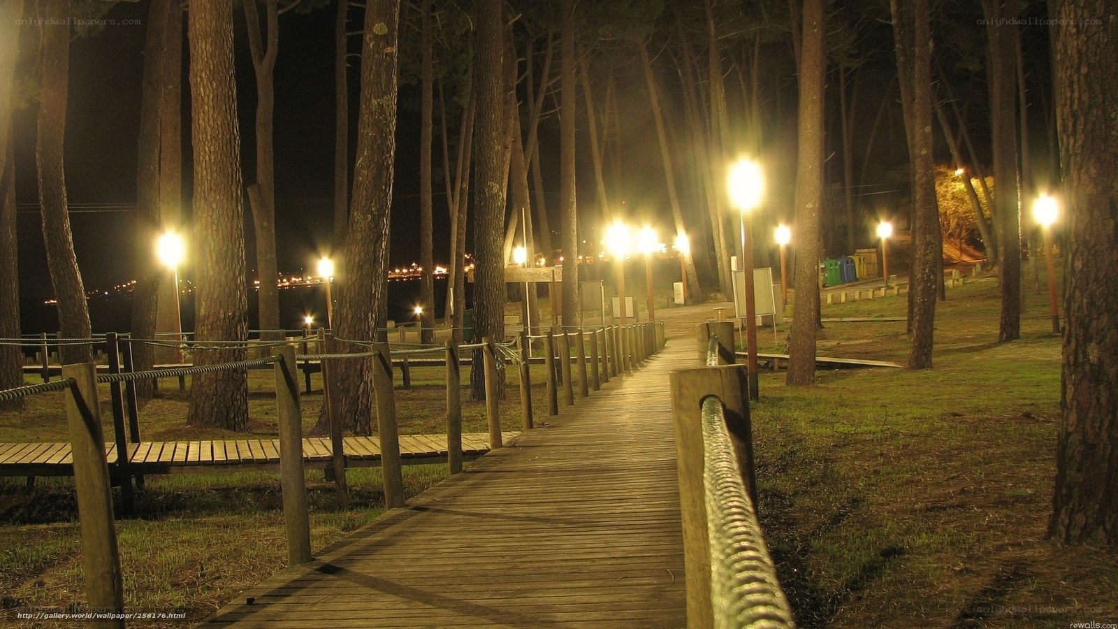 Wooden path in forest at night