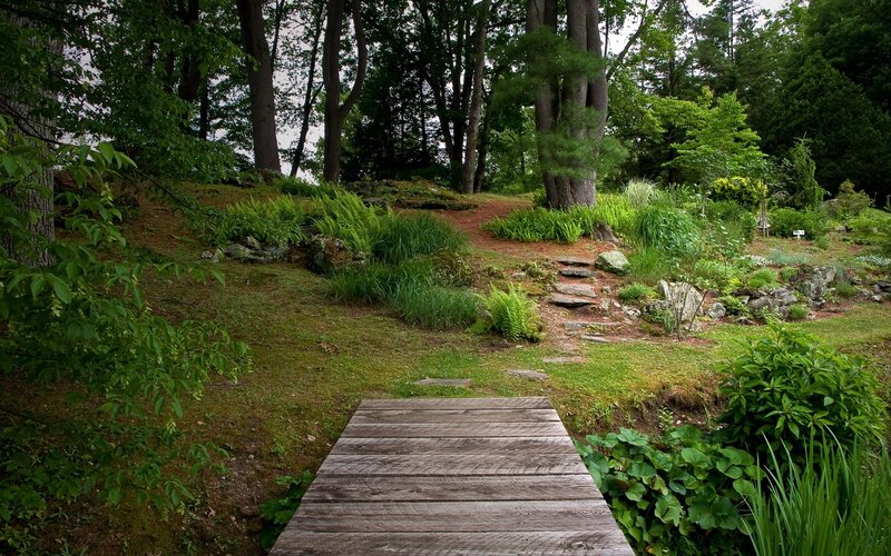 Wooden path in forest garden