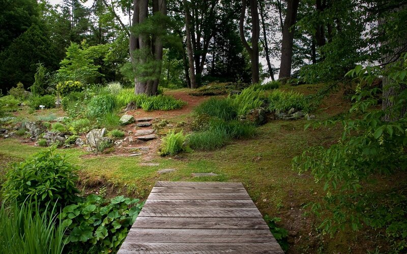 Wooden path in forest garden