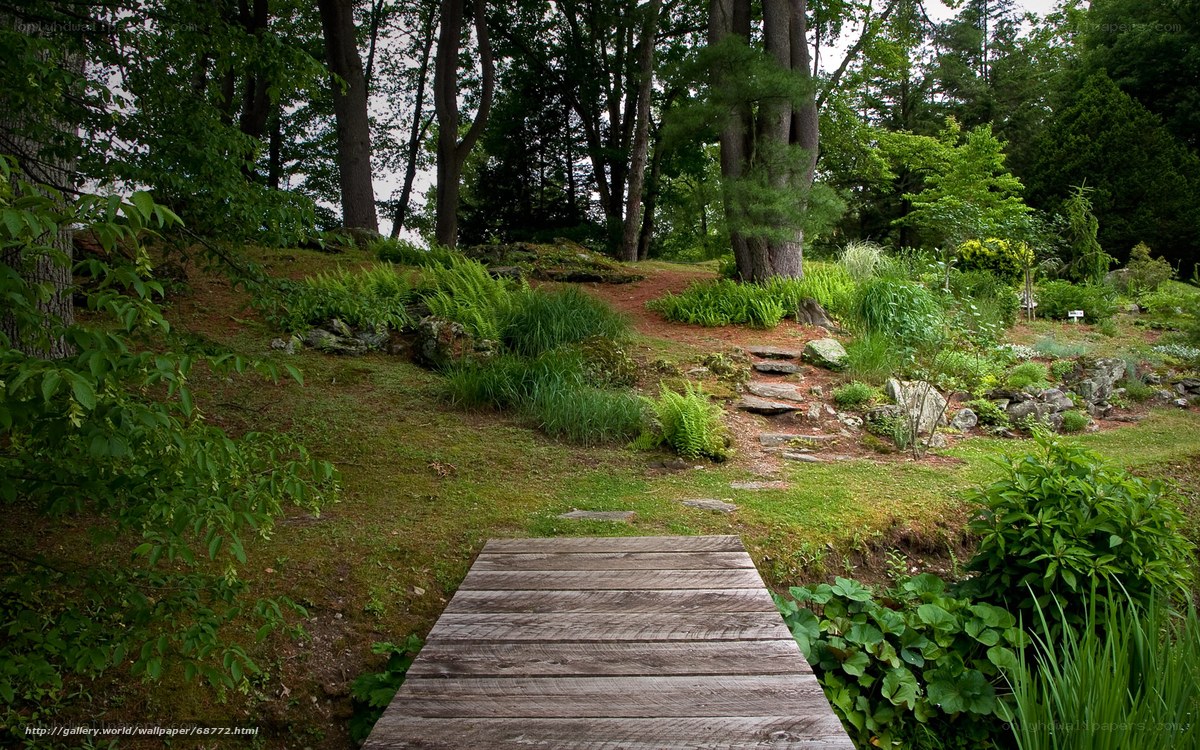 Wooden path in forest garden