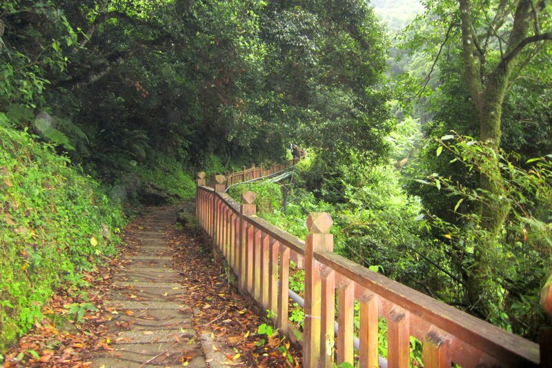 Wooden Path in Forest — Green, Serene, Afternoon, Photograph, Trees, Railing