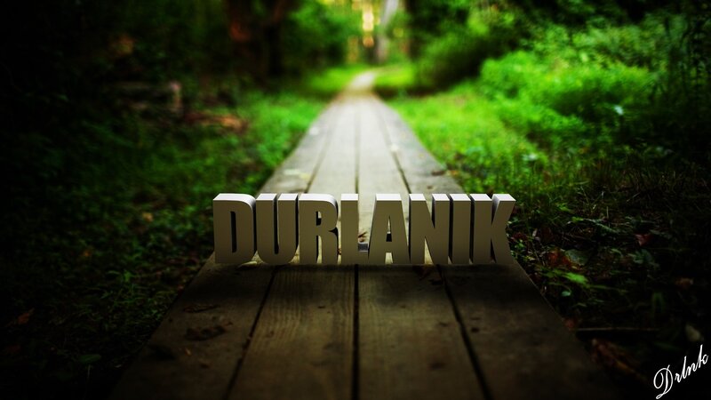Wooden Path in Forest — Green, Serene, Photograph