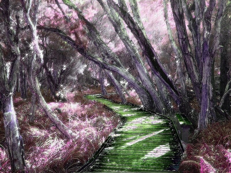 Wooden Path in Forest — Green, Serene, Spring
