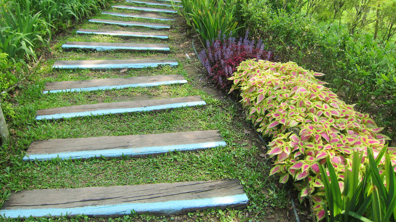 Wooden Path in Garden — Green