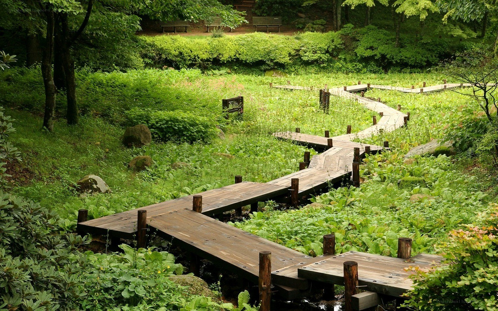 Wooden path in green park