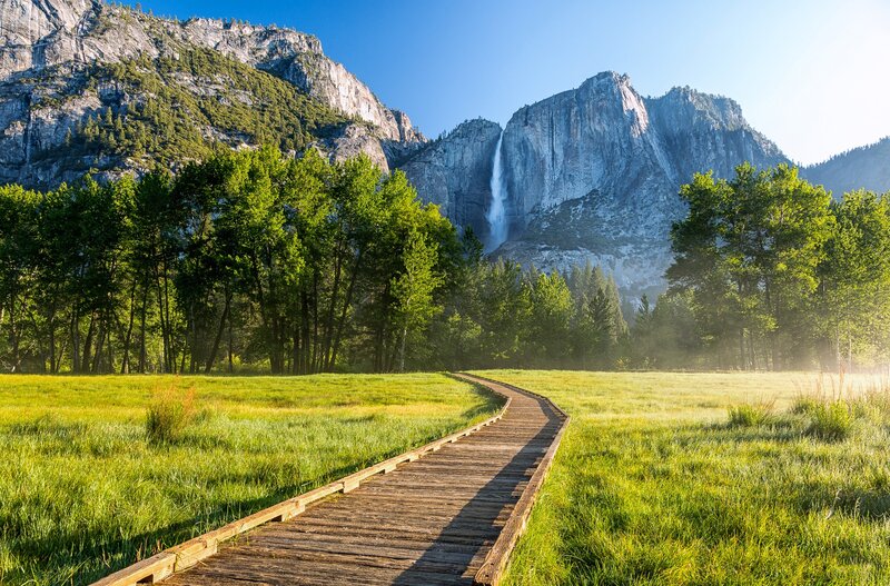 Wooden Path in Meadow — Green