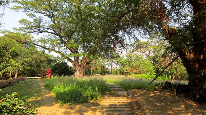 Wooden Path in Park — Green, Serene