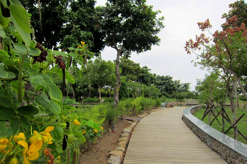 Wooden Path in Park
