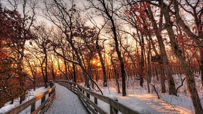 Wooden Path in Snowy Forest — Orange
