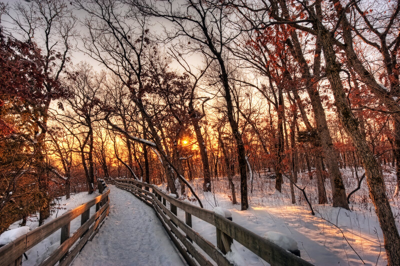 Wooden Path in Snowy Forest