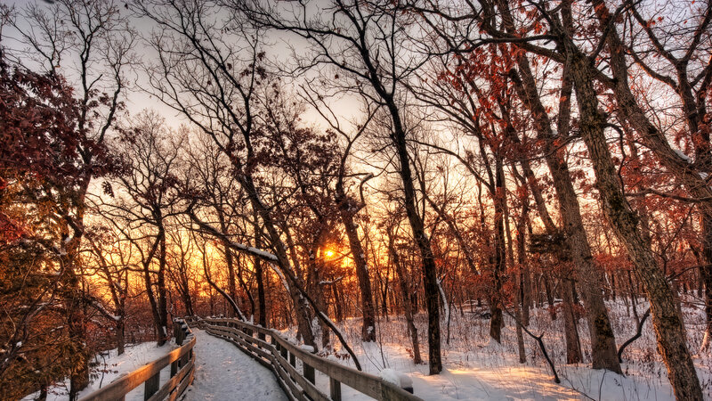 Wooden Path in Snowy Forest — White