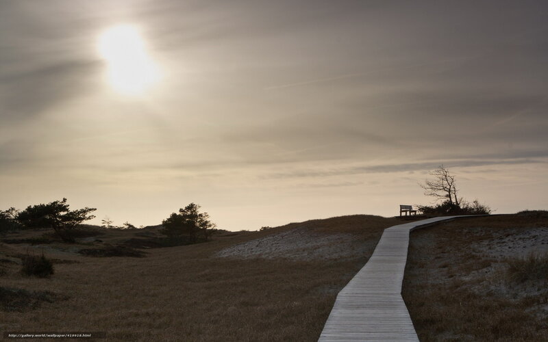 Wooden path on a dune