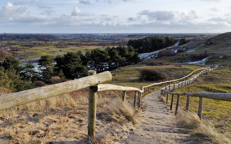 Wooden path on a sandy hill