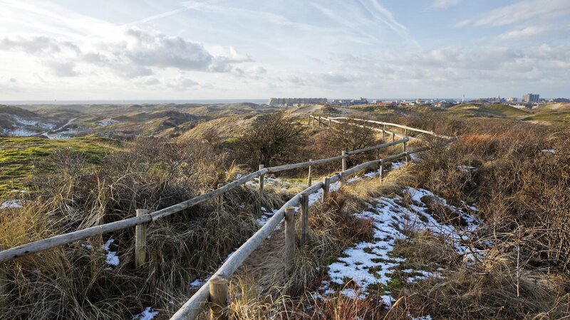 Wooden Path on Dunes
