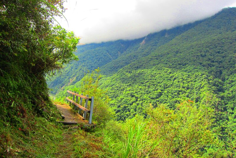 Wooden Path on Mountain