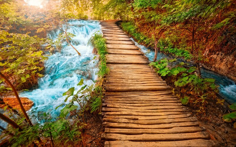 Wooden path over a forest stream