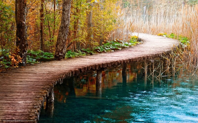 Wooden path through autumn forest
