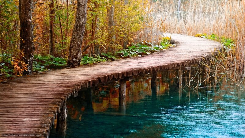 Wooden path through autumn forest