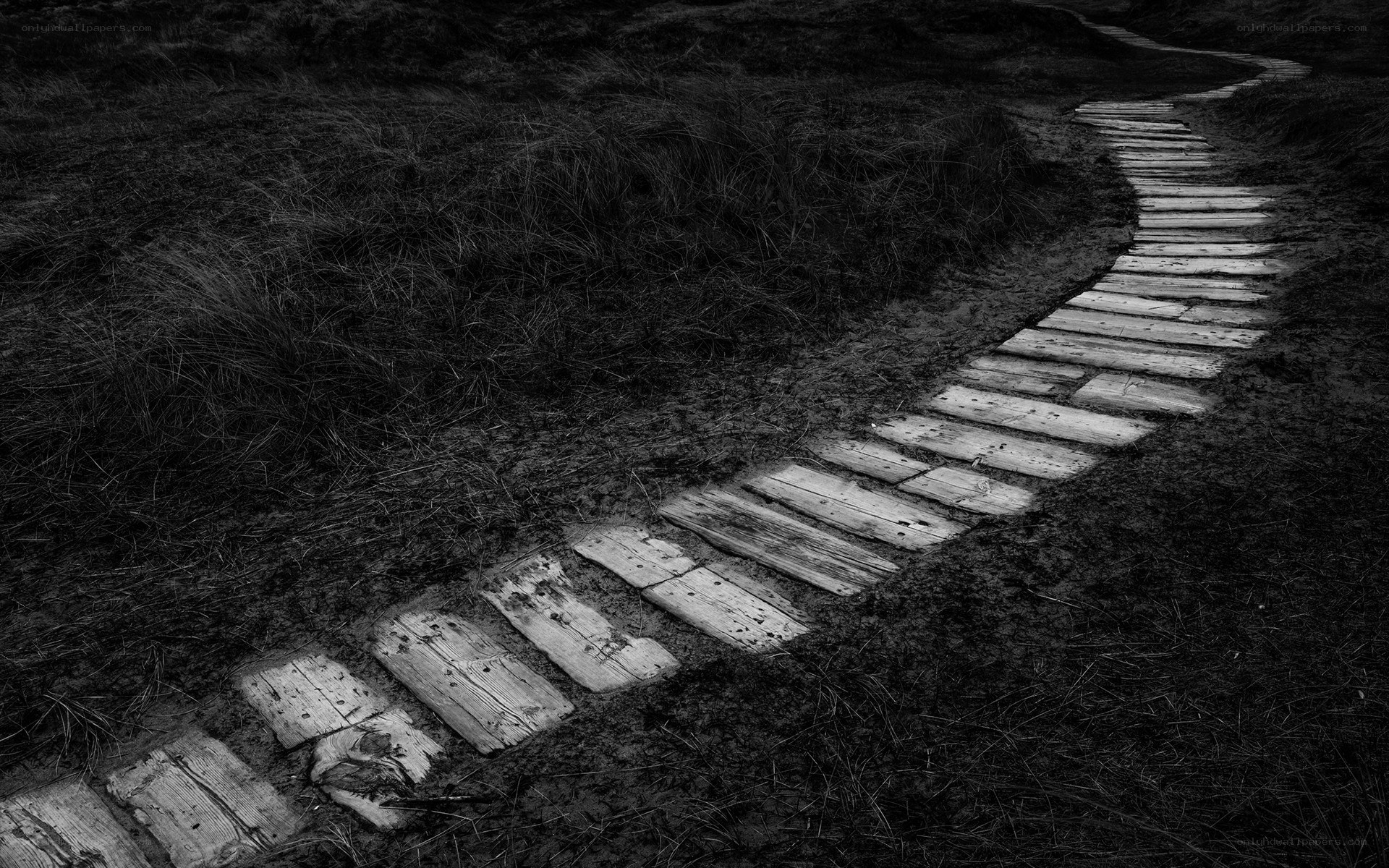 Wooden path through grassy dunes
