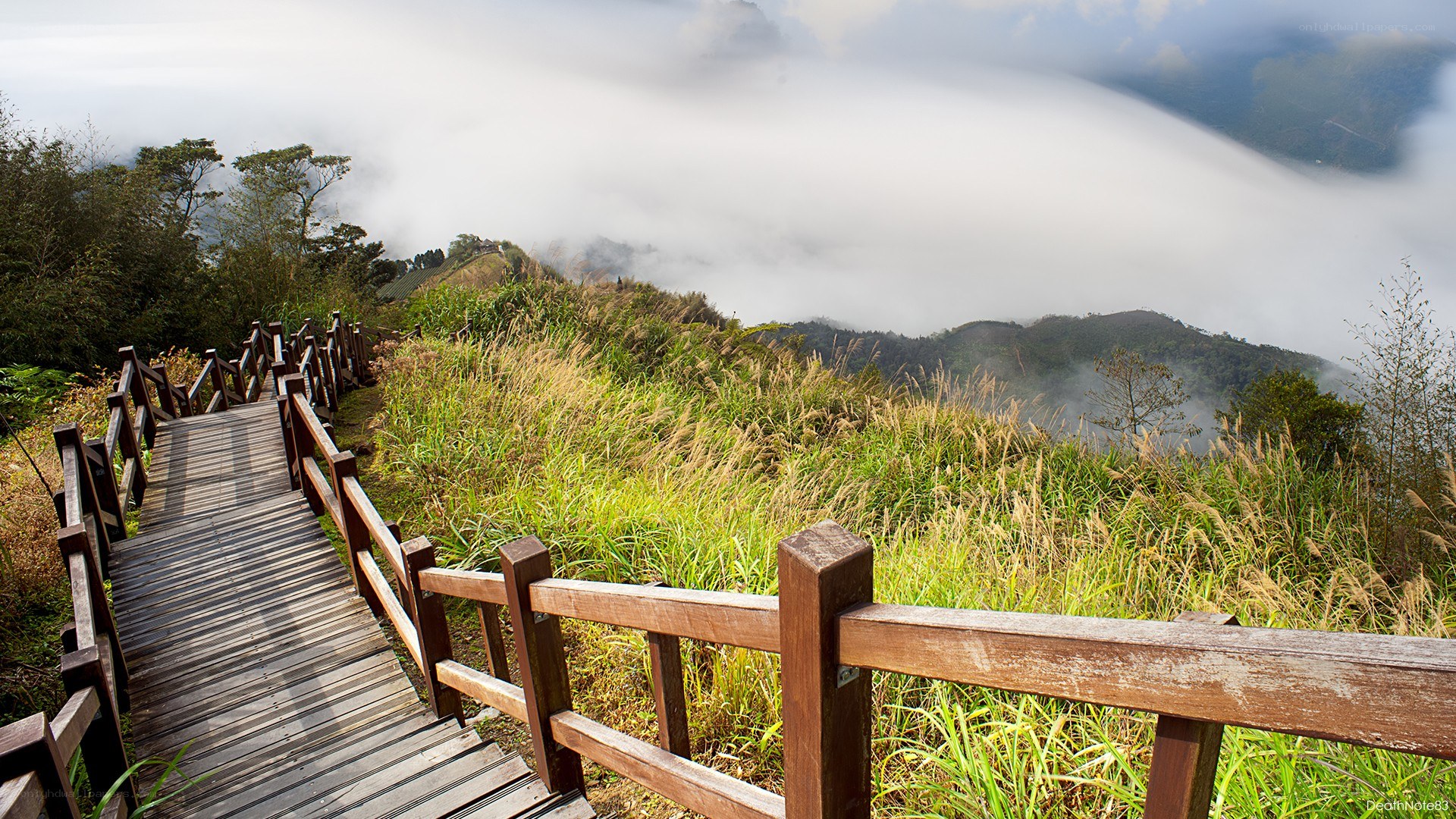 Wooden path through misty mountains