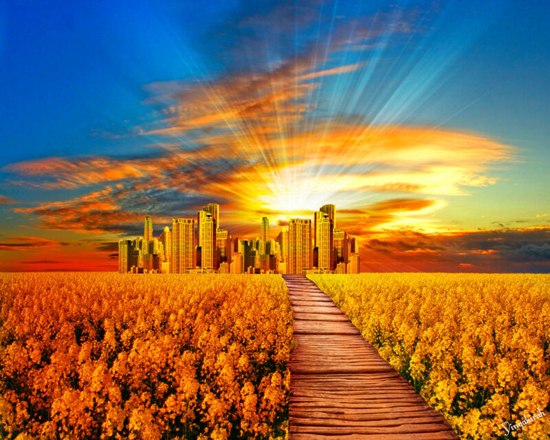Wooden Path to City