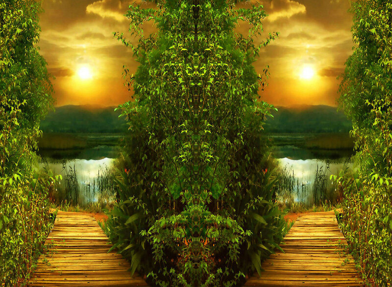 Wooden Path to Lake — Green, Serene