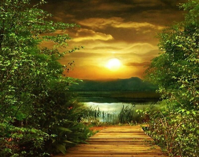 Wooden Path to Lake — Green