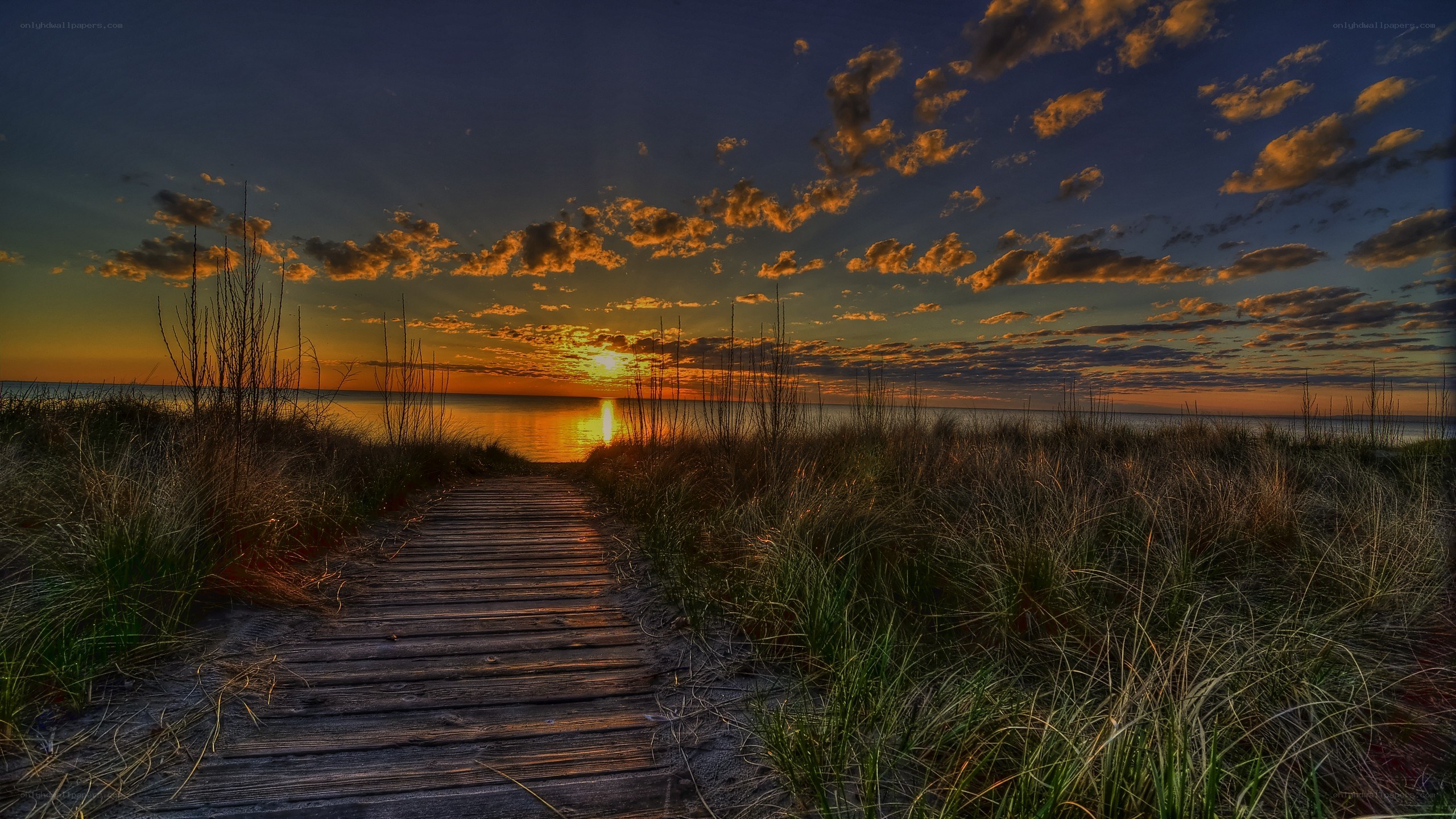 Wooden path to sunset beach